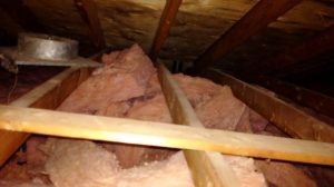 black mould in attic Kitchener