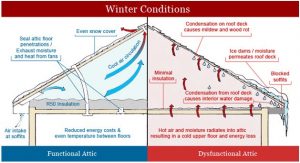 Mold in Attic Kitchener, ontario